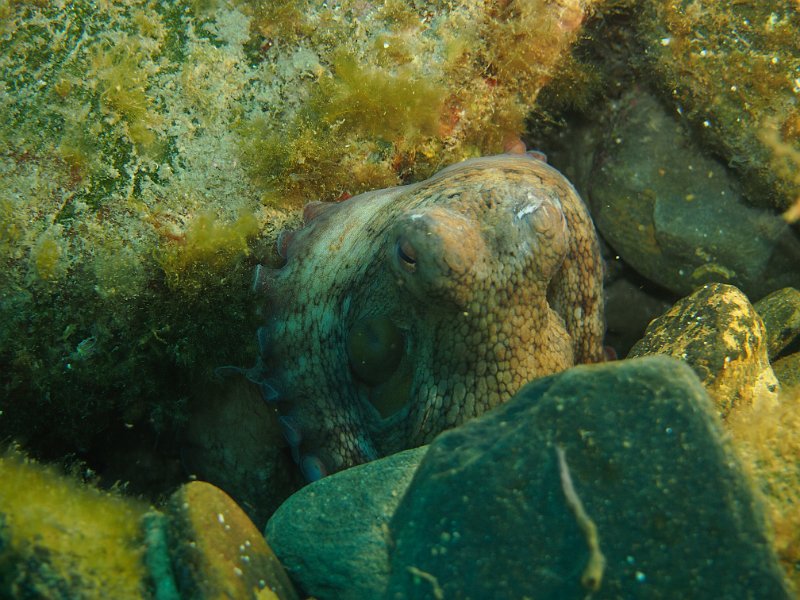 2013-06-10 11-49-58 Mary.JPG